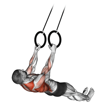 How to do Suspended Row — animated demonstration