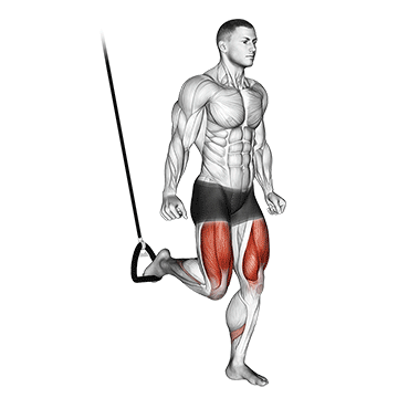 How to do Suspended Split Squat — animated demonstration