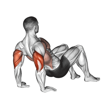 How to do Triceps Dips Floor — animated demonstration