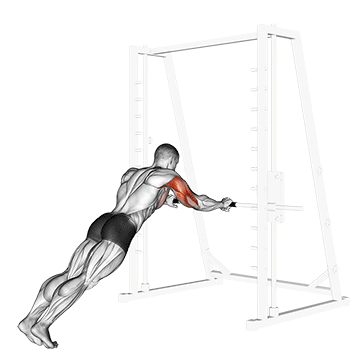 How to do Triceps Press — animated demonstration