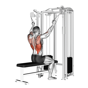 How to do Neutral-Grip Cable Lat Pulldown — animated demonstration