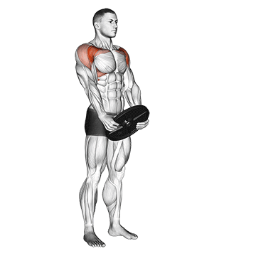 How to do Weighted Front Raise — animated demonstration