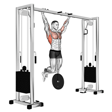 How to do Weighted Pull-Up — animated demonstration