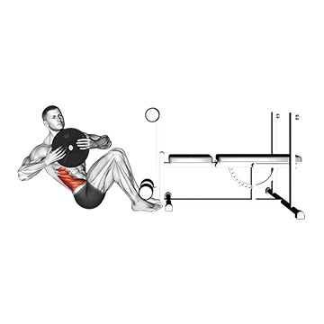 How to do Weighted Russian Twist — animated demonstration