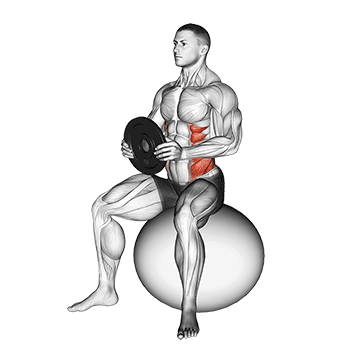 How to do Weighted Stability Ball Seated Twist — animated demonstration