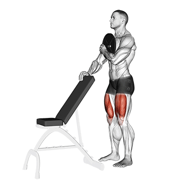 How to do Weighted Sissy Squat — animated demonstration