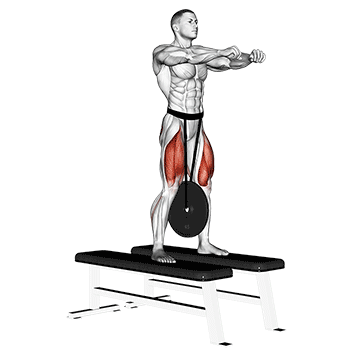 How to do Weighted Squat — animated demonstration