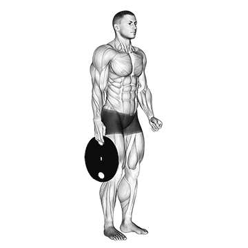 How to do Weighted Standing Hand Squeeze — animated demonstration