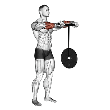 How to do Weighted Wrist Roller — animated demonstration