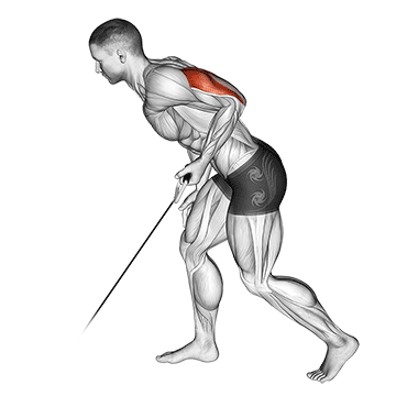 How to do Cable Kickback — animated demonstration