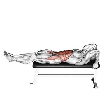 How to do Lying Leg-Hip Raise — animated demonstration