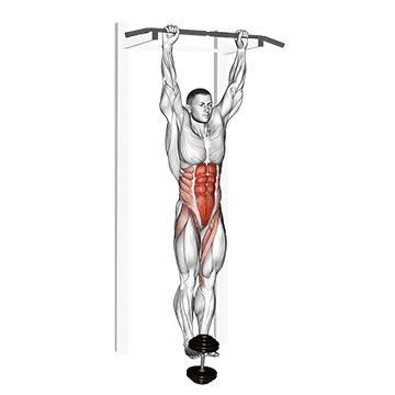 How to do Weighted Hanging Leg-Hip Raise — animated demonstration