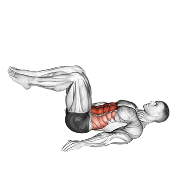 How to do Reverse Crunch — animated demonstration