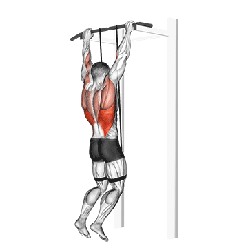 How to do Band Assisted Pull-Up — animated demonstration