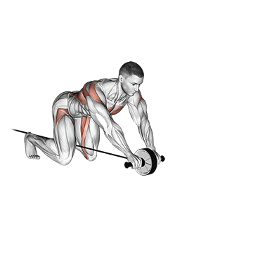 How to do Band Assisted Wheel Rollout — animated demonstration