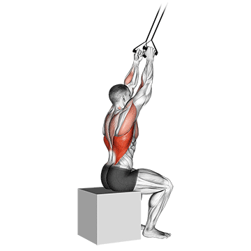 How to do Band Close-Grip Pulldown — animated demonstration