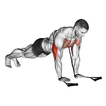 How to do Band Close-Grip Push-Up — animated demonstration