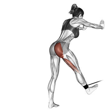 How to do Band Bent-Over Hip Extension — animated demonstration
