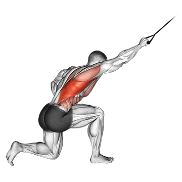 How to do Single-Arm Kneeling Band Pulldown — animated demonstration