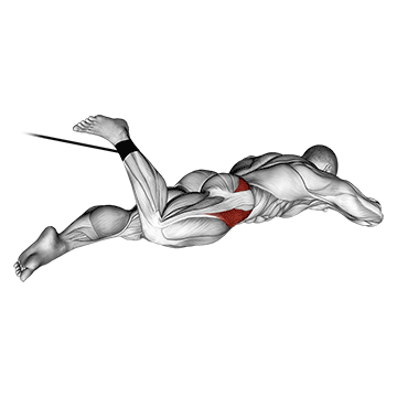 How to do Band Lying Hip Internal Rotation — animated demonstration