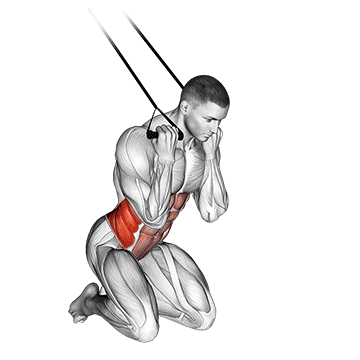 How to do Band Kneeling Twisting Crunch — animated demonstration