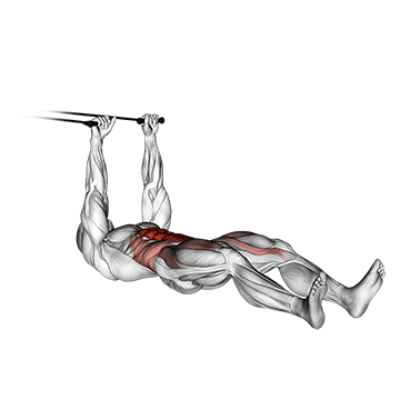 How to do Band Push Sit-Up — animated demonstration