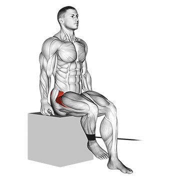 How to do Band Seated Hip Internal Rotation — animated demonstration