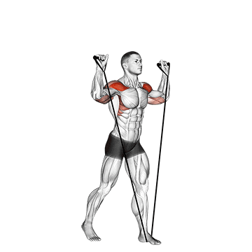 How to do Band Shoulder Press — animated demonstration
