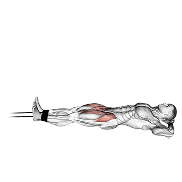 How to do Band Lying Straight Leg Raise — animated demonstration