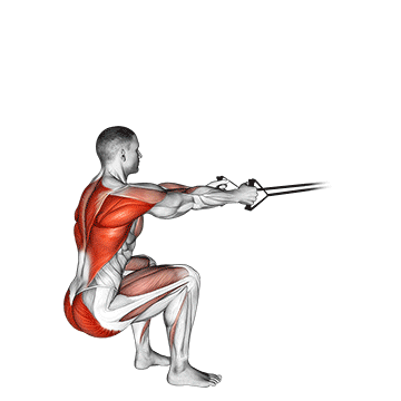 How to do Band Squat Row — animated demonstration