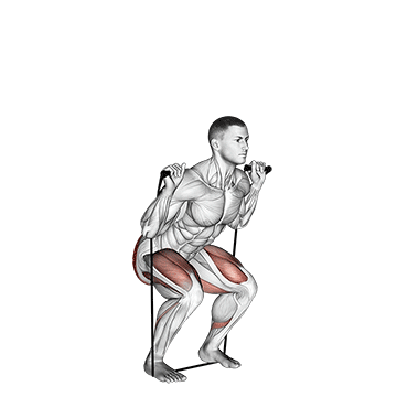 How to do Band Squat — animated demonstration