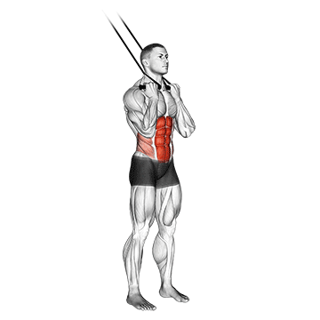 How to do Band Standing Crunch — animated demonstration