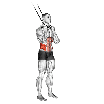 How to do Band Standing Twisting Crunch — animated demonstration