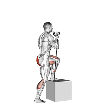 How to do Band Step-Up — animated demonstration