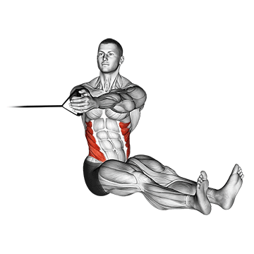 How to do Band Seated Twist — animated demonstration