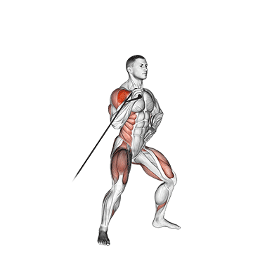 How to do Band Twisting Overhead Press — animated demonstration