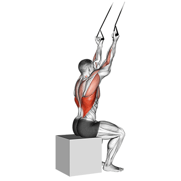 How to do Band Underhand Pulldown — animated demonstration