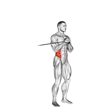 How to do Band Vertical Pallof Press — animated demonstration