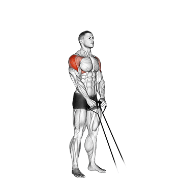 How to do Band Y-Raise — animated demonstration