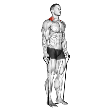 How to do Band Shrug — animated demonstration