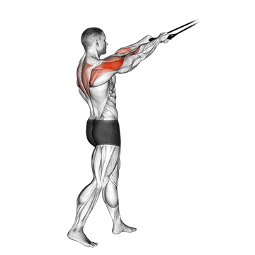 How to do Band Standing Rear Delt Row — animated demonstration