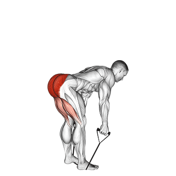 How to do Band Straight Back Stiff Leg Deadlift — animated demonstration