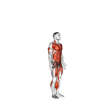 How to do Burpee — animated demonstration