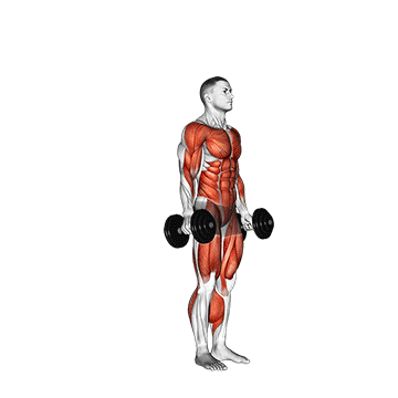 How to do Dumbbell Burpee — animated demonstration