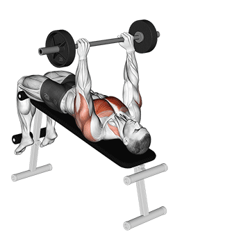 How to do Barbell Decline Pullover — animated demonstration