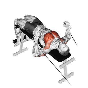 How to do Cable Decline Press — animated demonstration