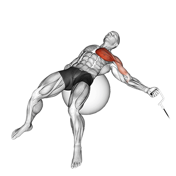 How to do Cable Single-Arm Fly on Stability Ball — animated demonstration