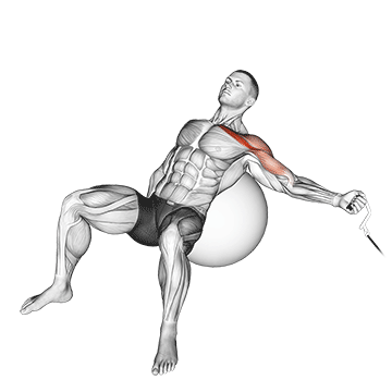 How to do Cable Single-Arm Incline Fly on Stability Ball — animated demonstration