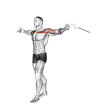 How to do Cable Upper Chest Crossovers — animated demonstration