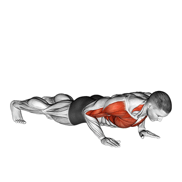 How to do Clap Push-Up — animated demonstration